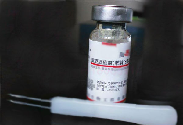 鸡痘疫苗有哪些?怎么使用?