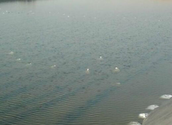 养海参赚钱吗？海参养殖成本及利润怎么样？