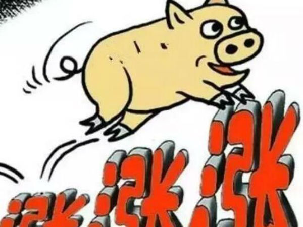 猪价飙升的背后，养猪业或将进入“疯狂的时代”？
