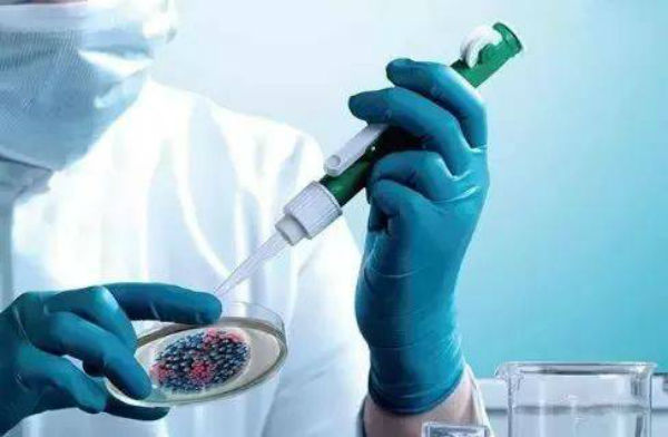 2020将至 回首2019看看畜牧行业都发生了哪些大事？