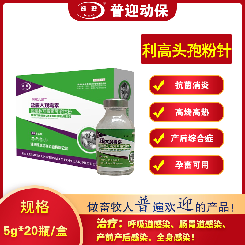 利高头孢（粉针）