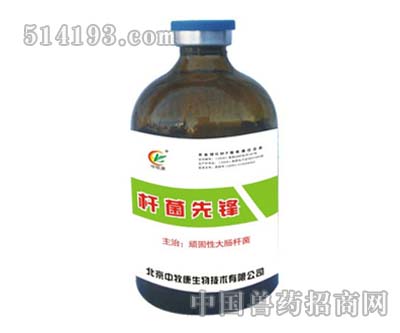 杆菌先锋