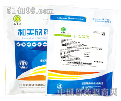 白头翁散