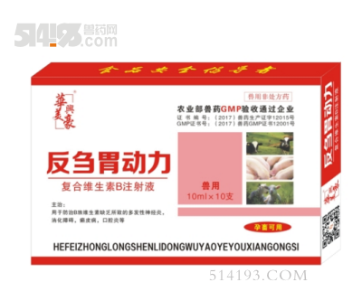 反刍胃动力