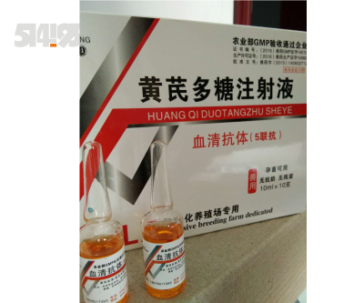 血清抗体