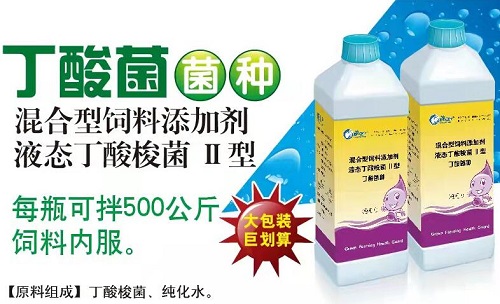 丁酸菌：白便、空肠、空胃