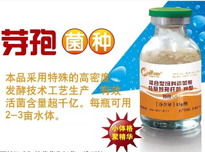 芽孢菌：复合菌种、调水净水、**氨氮、抑制蓝藻