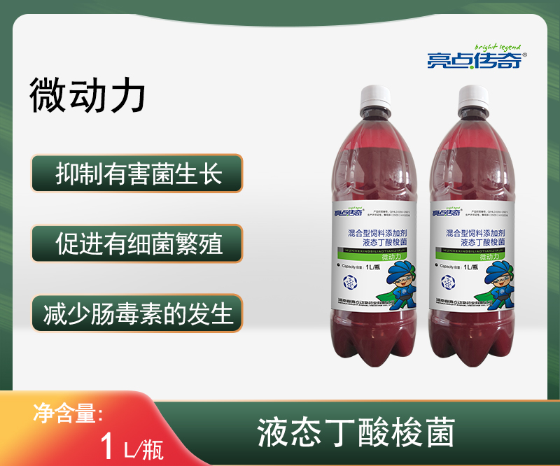 亮点传奇微动力