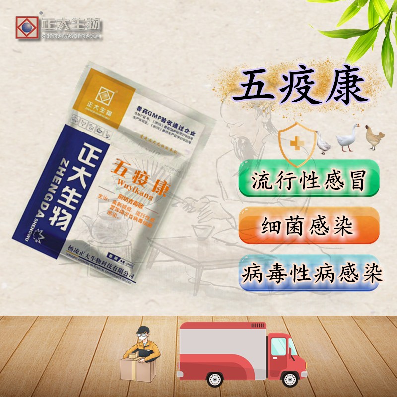 荆防败毒散